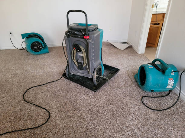 Best Emergency water damage restoration  in Amarillo, TX